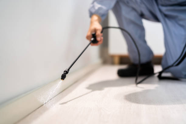 Best Residential Pest Control  in Leander, TX