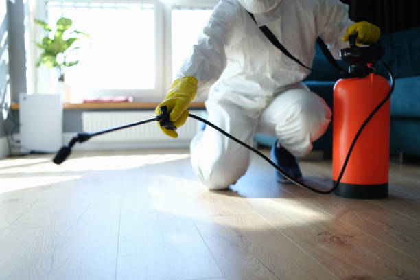 Best Emergency Pest Control  in Leander, TX