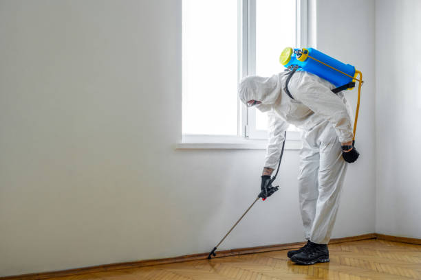  Leander, TX Pest Control Pros