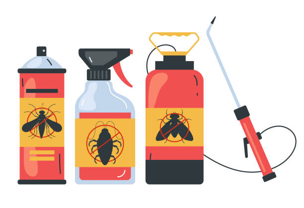 Best Spider Control Near Me  in Leander, TX