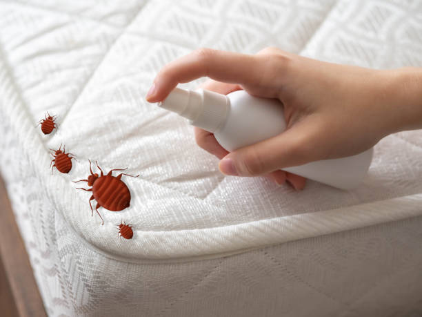 Leander, TX Pest Control Company