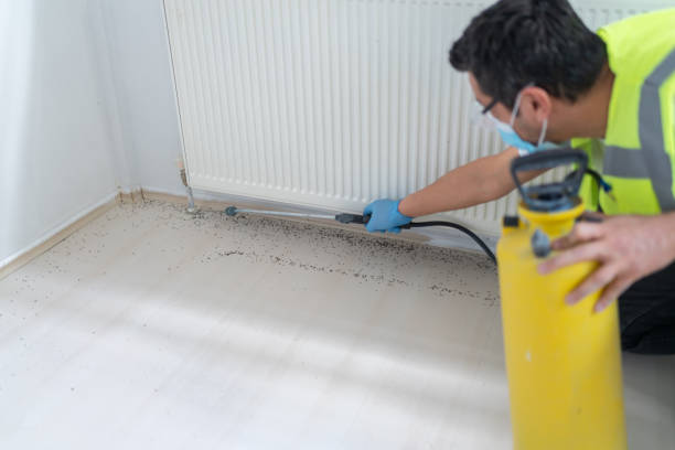 Best Pest Control Near Me  in Leander, TX