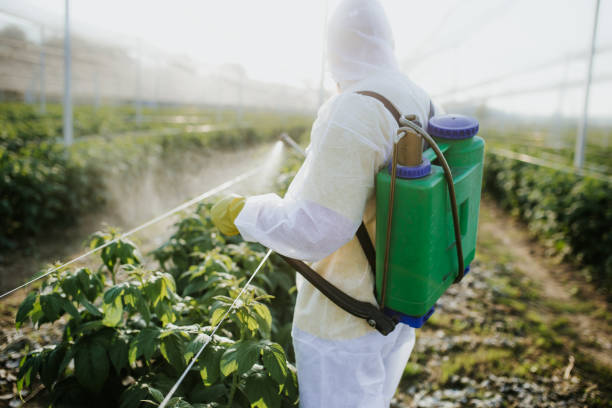 Best Wildlife Control Services  in Leander, TX